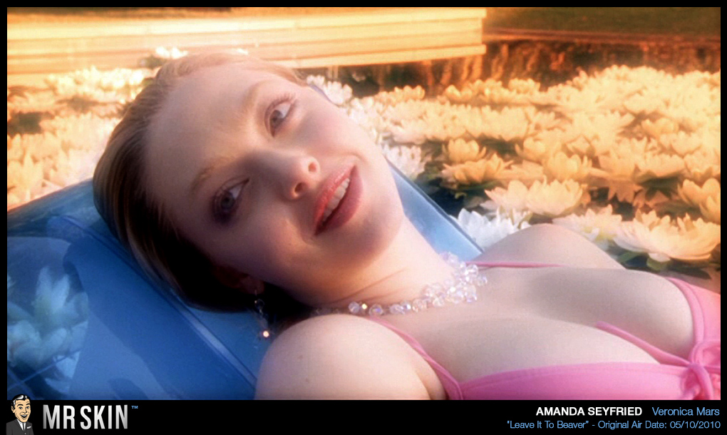 Hollywood Celeb Amanda Seyfried