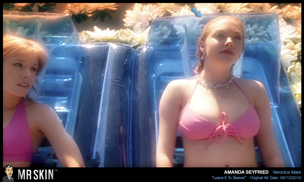 Hollywood Celeb Amanda Seyfried