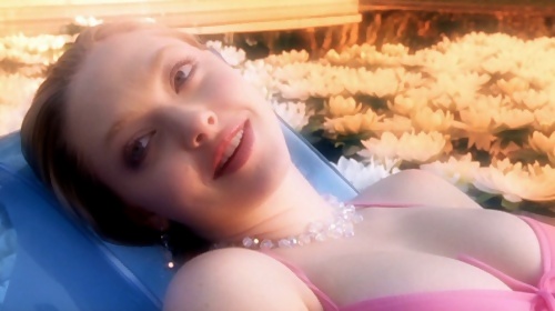 Hollywood Celeb Amanda Seyfried