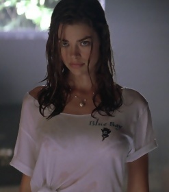Denise Richards in Wild Things 